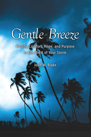 book gentle breeze